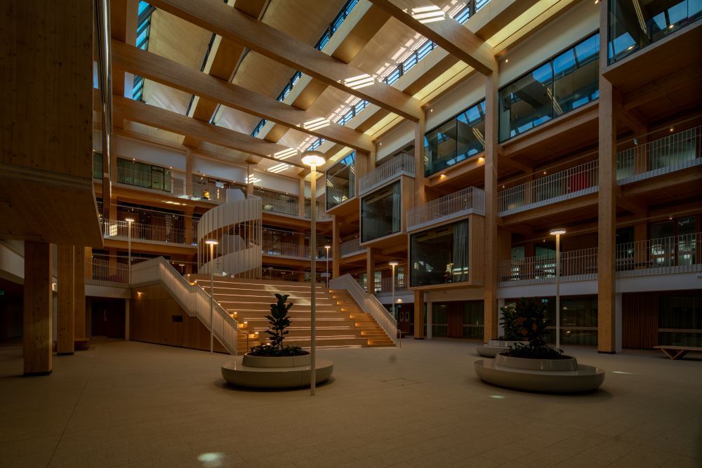 Timber atrium at Macquarie University Law School in Sydney with high-level facade openings